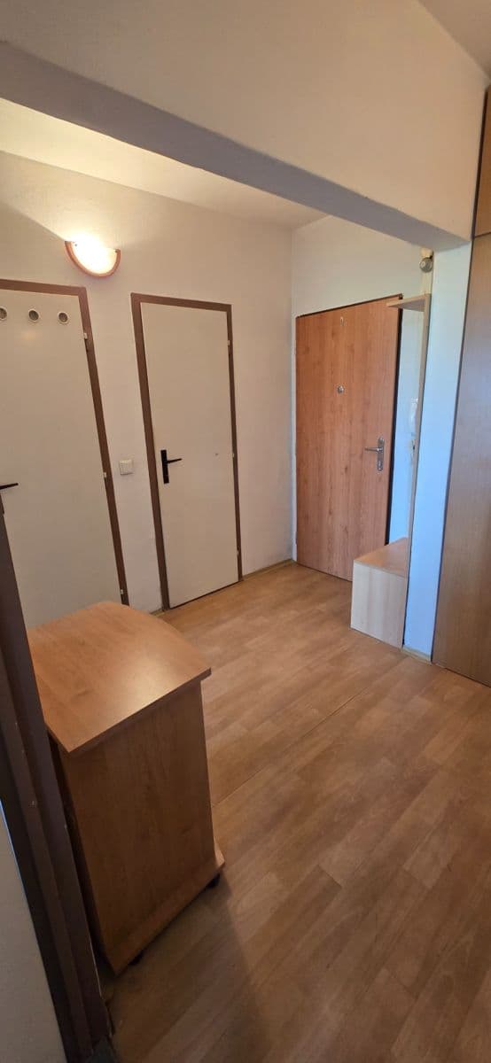 1 bedroom with open-plan kitchen flat for sale, 52 m², Oderská, Brno, Jihomoravský Region 1 bedroom with open-plan kitchen flat for sale, 52 m², Oderská, Brno, Jihomoravský Region