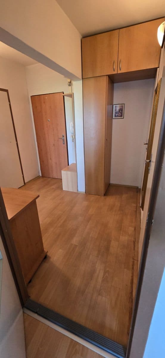 1 bedroom with open-plan kitchen flat for sale, 52 m², Oderská, Brno, Jihomoravský Region 1 bedroom with open-plan kitchen flat for sale, 52 m², Oderská, Brno, Jihomoravský Region