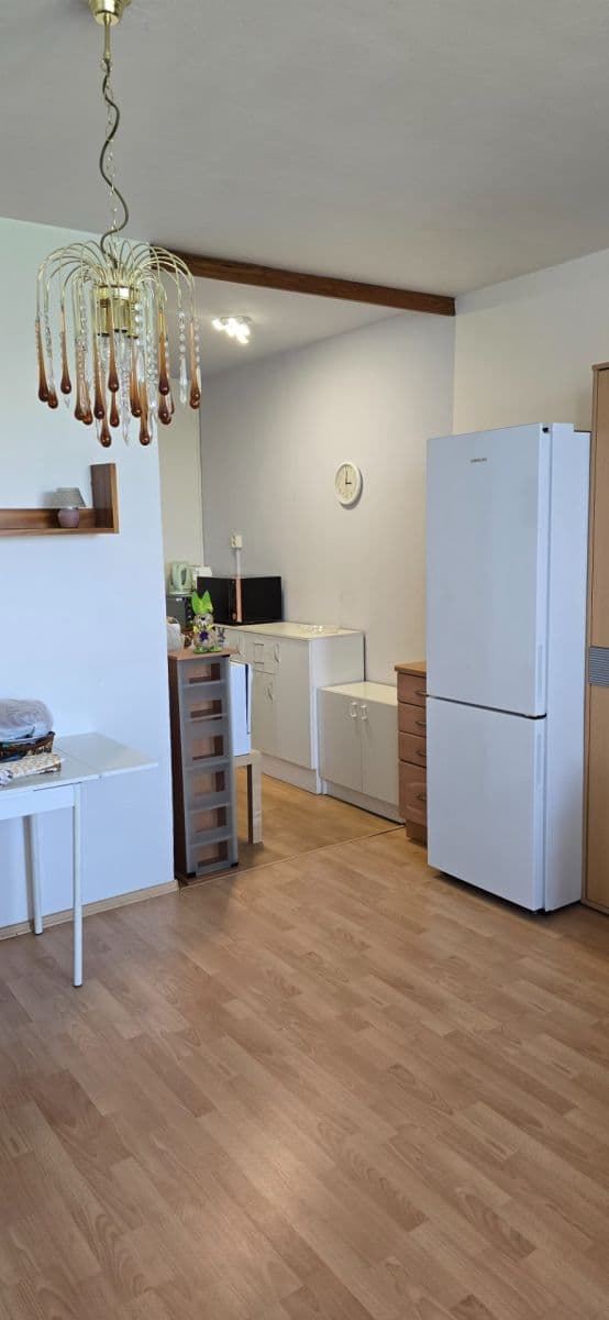 1 bedroom with open-plan kitchen flat for sale, 52 m², Oderská, Brno, Jihomoravský Region 1 bedroom with open-plan kitchen flat for sale, 52 m², Oderská, Brno, Jihomoravský Region