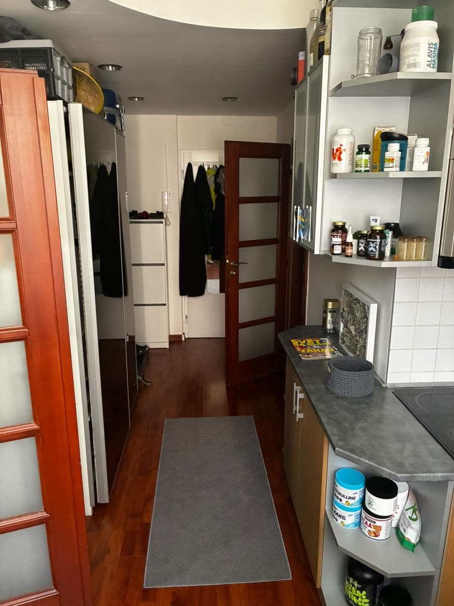 1 bedroom flat to rent, 36 m², Nad ostrovem, Prague, Prague 1 bedroom flat to rent, 36 m², Nad ostrovem, Prague, Prague