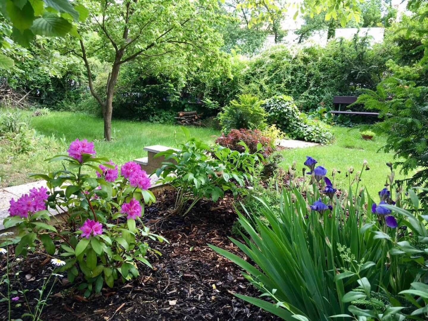 1 bedroom with open-plan kitchen flat to rent, 50 m², U Malvazinky, Prague, Prague 1 bedroom with open-plan kitchen flat to rent, 50 m², U Malvazinky, Prague, Prague