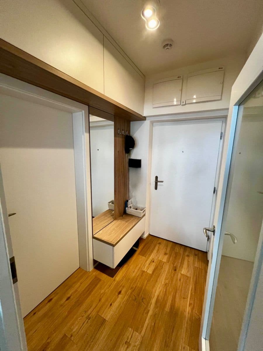 1 bedroom with open-plan kitchen flat to rent, 42 m², Vídeňská, Brno, Jihomoravský Region 1 bedroom with open-plan kitchen flat to rent, 42 m², Vídeňská, Brno, Jihomoravský Region