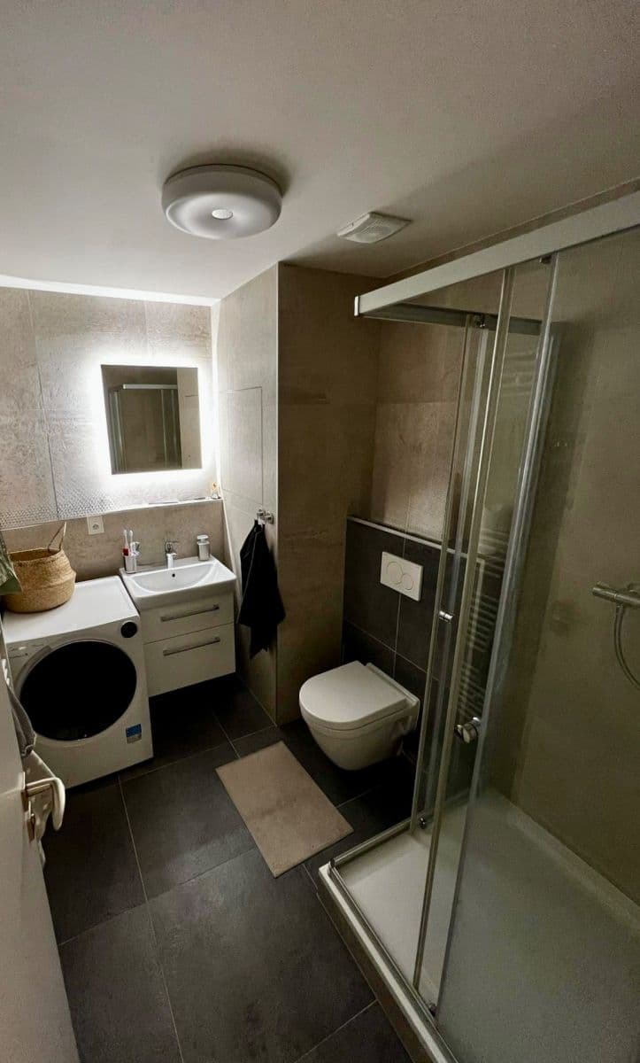 1 bedroom with open-plan kitchen flat to rent, 42 m², Vídeňská, Brno, Jihomoravský Region 1 bedroom with open-plan kitchen flat to rent, 42 m², Vídeňská, Brno, Jihomoravský Region