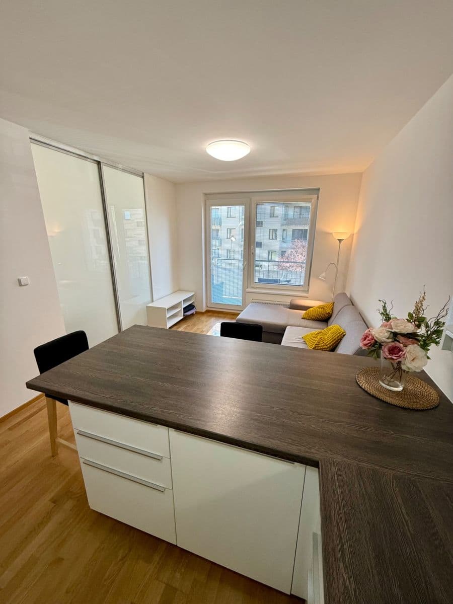 1 bedroom with open-plan kitchen flat to rent, 53 m², Makedonská, Prague, Prague 1 bedroom with open-plan kitchen flat to rent, 53 m², Makedonská, Prague, Prague