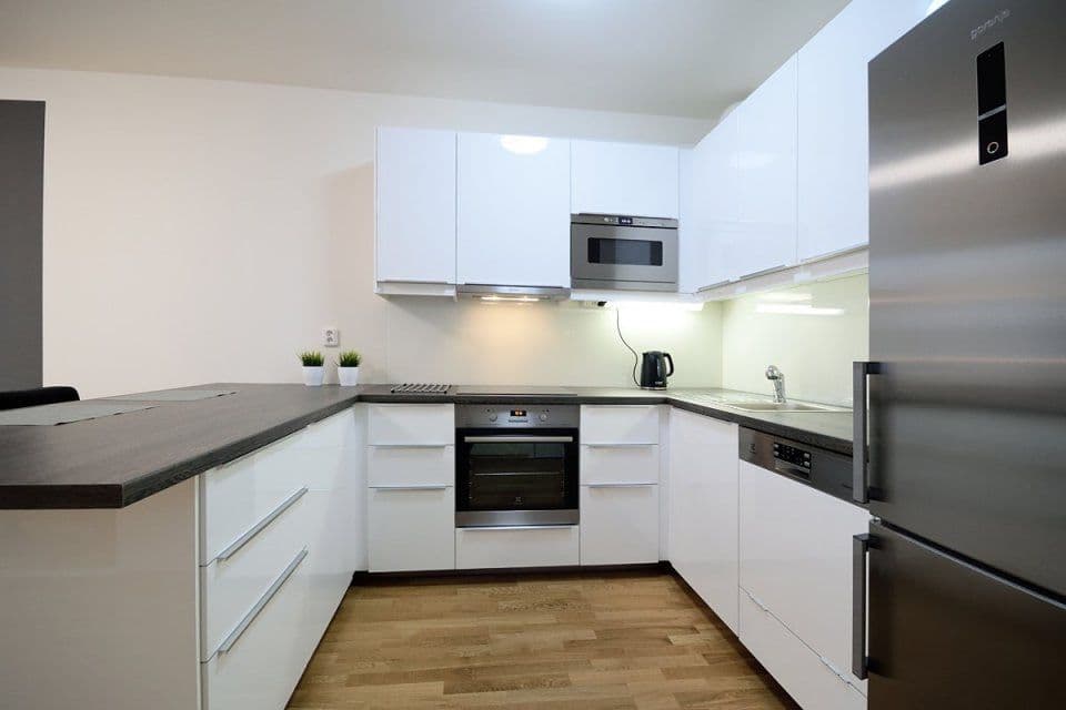 1 bedroom with open-plan kitchen flat to rent, 53 m², Makedonská, Prague, Prague 1 bedroom with open-plan kitchen flat to rent, 53 m², Makedonská, Prague, Prague