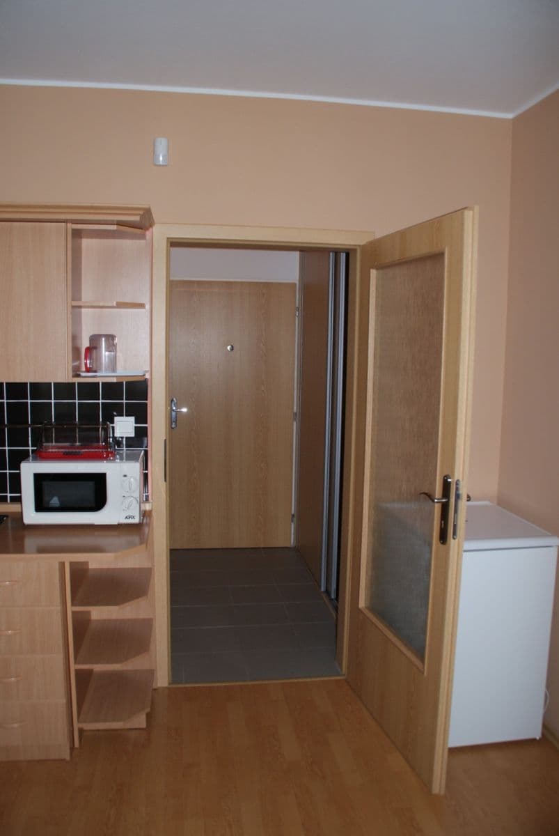 Studio flat to rent, 29 m², Černochova, Prague, Prague Studio flat to rent, 29 m², Černochova, Prague, Prague