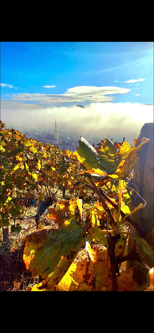 house for sale, 85 m², Grafschaft, Rhineland-Palatinate house for sale, 85 m², Grafschaft, Rhineland-Palatinate