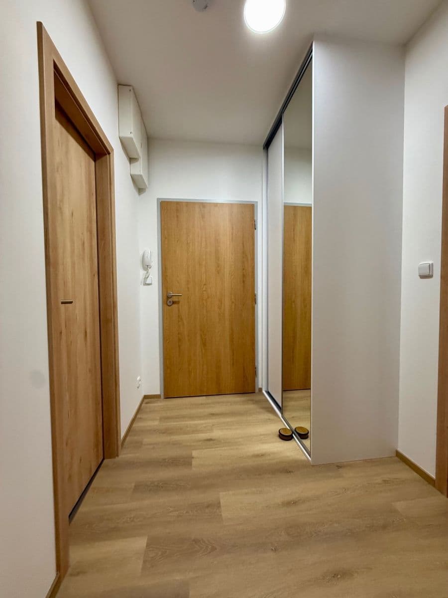 1 bedroom with open-plan kitchen flat to rent, 55 m², Mochovská, Prague, Prague 1 bedroom with open-plan kitchen flat to rent, 55 m², Mochovská, Prague, Prague