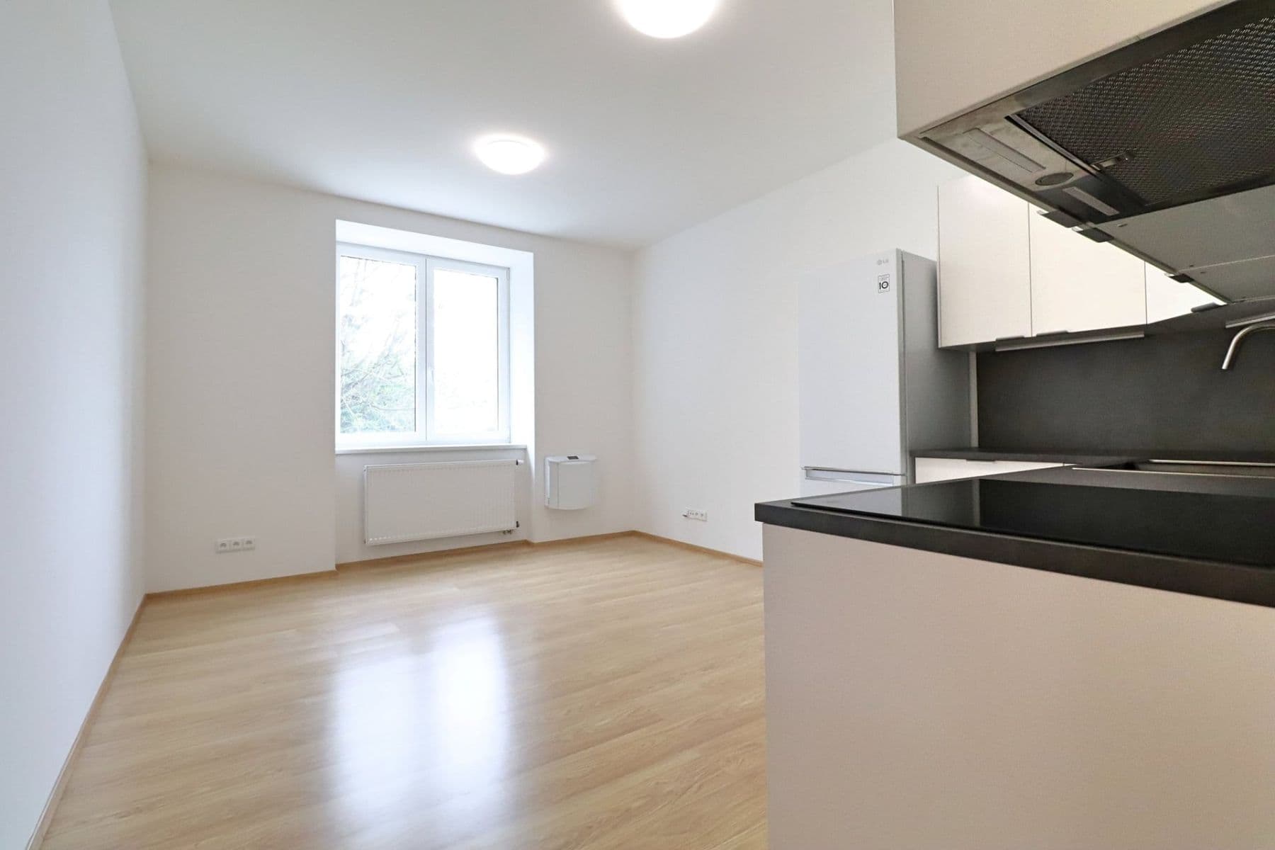 1 bedroom with open-plan kitchen flat to rent, 43 m², V závětří, Prague, Prague 1 bedroom with open-plan kitchen flat to rent, 43 m², V závětří, Prague, Prague