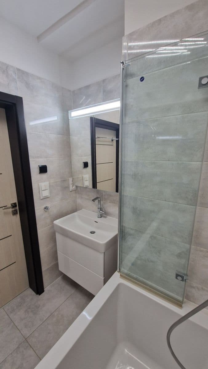 1 bedroom with open-plan kitchen flat for sale, 55 m², Na Václavce, Prague, Prague 1 bedroom with open-plan kitchen flat for sale, 55 m², Na Václavce, Prague, Prague