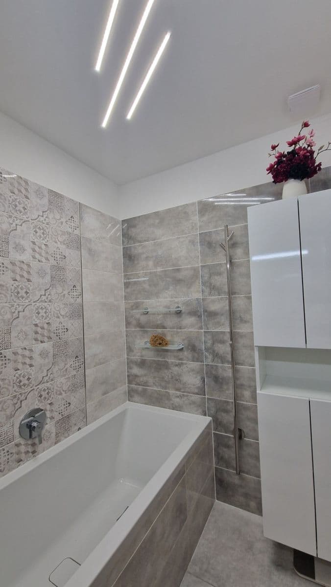 1 bedroom with open-plan kitchen flat for sale, 55 m², Na Václavce, Prague, Prague 1 bedroom with open-plan kitchen flat for sale, 55 m², Na Václavce, Prague, Prague