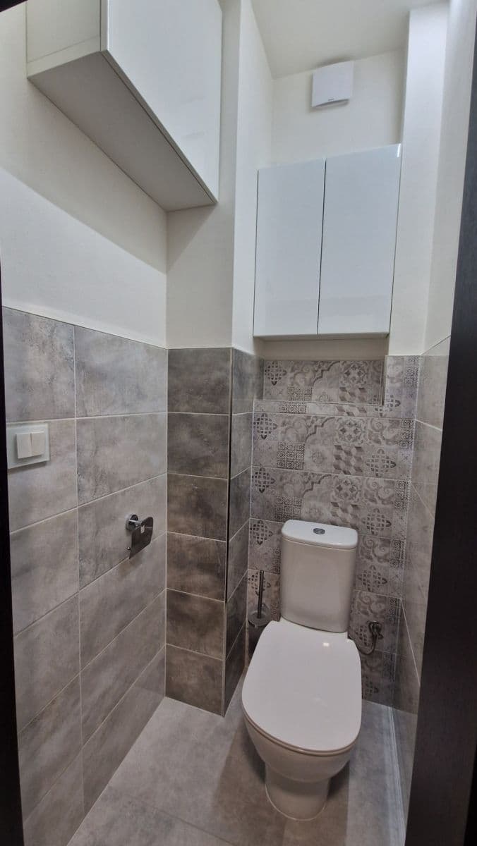 1 bedroom with open-plan kitchen flat for sale, 55 m², Na Václavce, Prague, Prague 1 bedroom with open-plan kitchen flat for sale, 55 m², Na Václavce, Prague, Prague