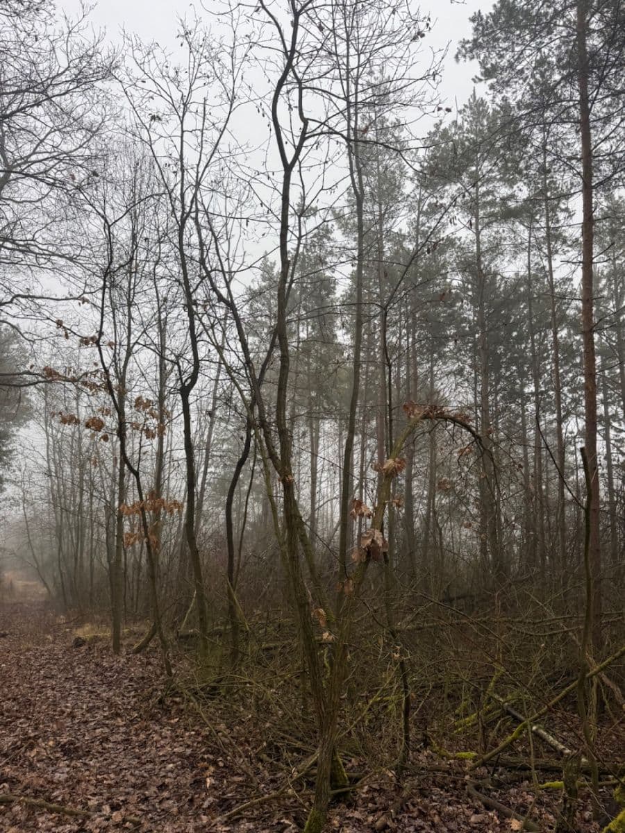 plot for sale, 3,854 m², Chotiněves, Ústecký Region plot for sale, 3,854 m², Chotiněves, Ústecký Region