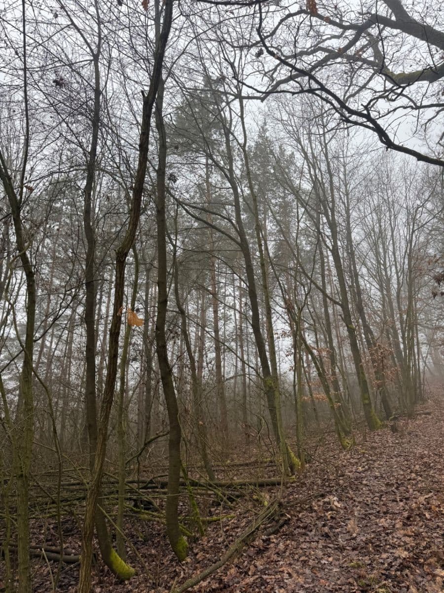 plot for sale, 3,854 m², Chotiněves, Ústecký Region plot for sale, 3,854 m², Chotiněves, Ústecký Region