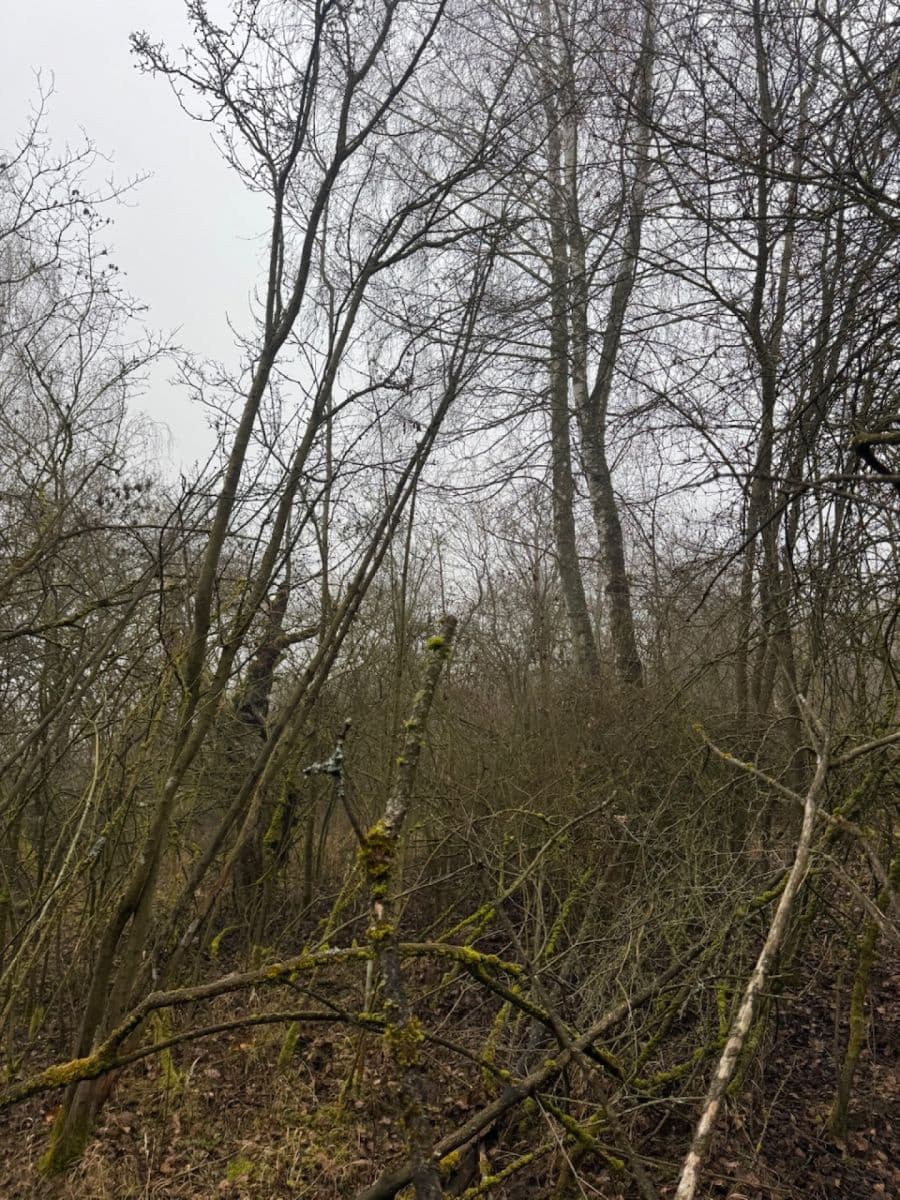 plot for sale, 3,854 m², Chotiněves, Ústecký Region plot for sale, 3,854 m², Chotiněves, Ústecký Region