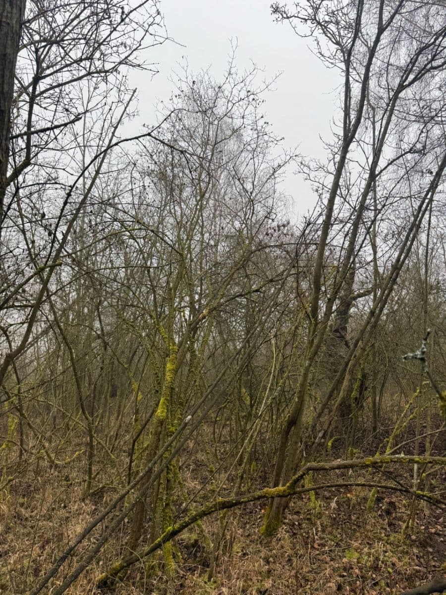 plot for sale, 3,854 m², Chotiněves, Ústecký Region plot for sale, 3,854 m², Chotiněves, Ústecký Region