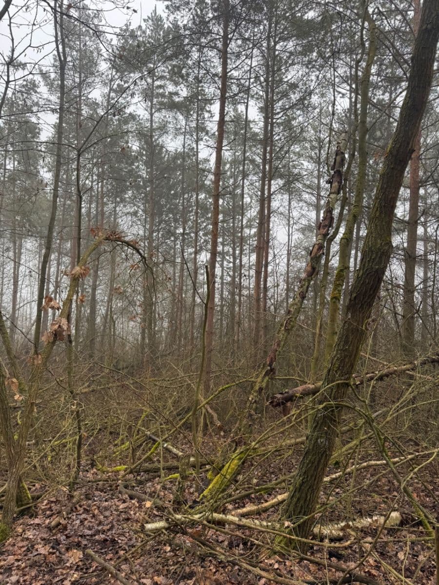 plot for sale, 3,854 m², Chotiněves, Ústecký Region plot for sale, 3,854 m², Chotiněves, Ústecký Region