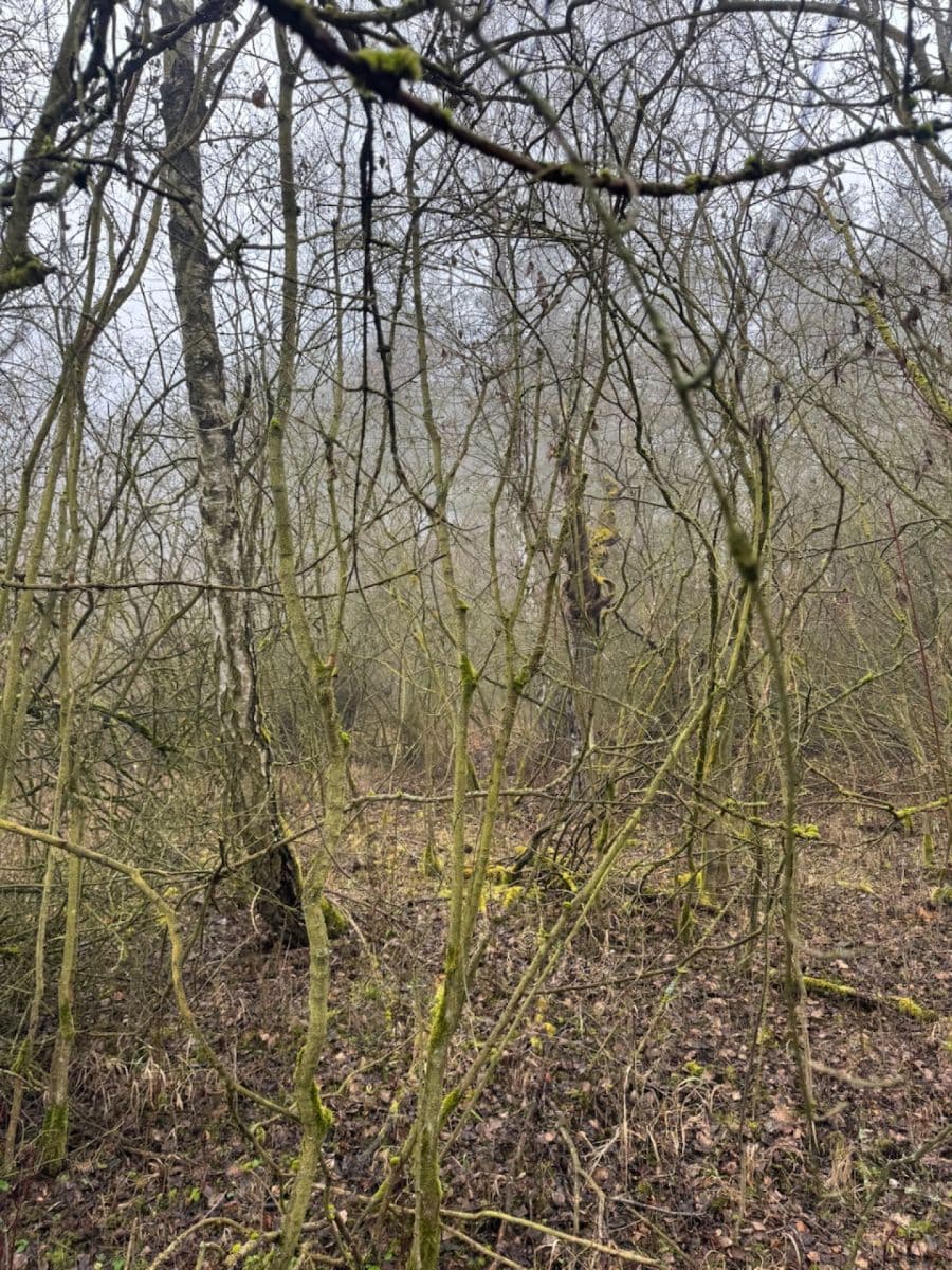 plot for sale, 3,854 m², Chotiněves, Ústecký Region plot for sale, 3,854 m², Chotiněves, Ústecký Region