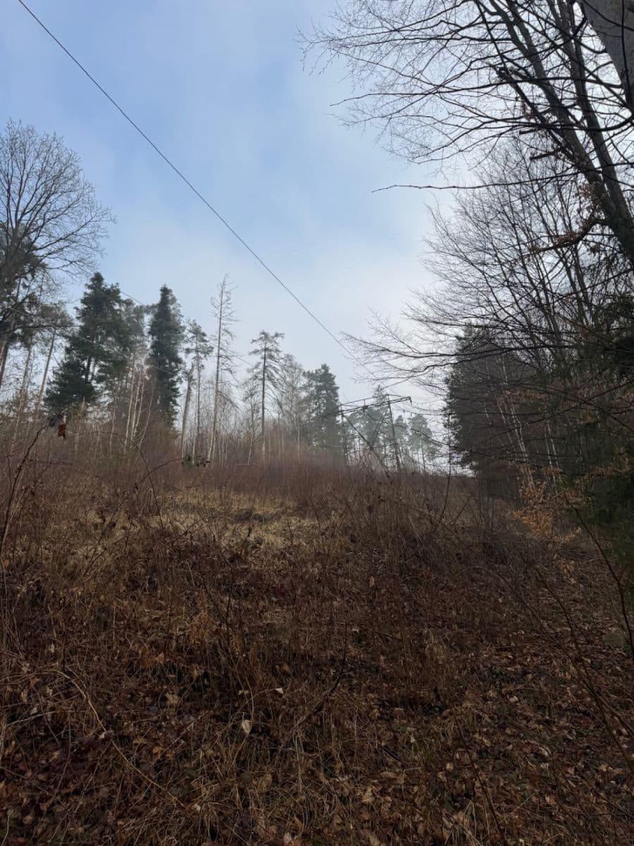 plot for sale, 5,829 m², Malá Bystřice, Zlínský Region plot for sale, 5,829 m², Malá Bystřice, Zlínský Region
