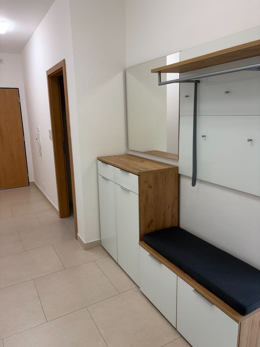 1 bedroom with open-plan kitchen flat to rent, 56 m², Lovosická, Prague, Prague 1 bedroom with open-plan kitchen flat to rent, 56 m², Lovosická, Prague, Prague