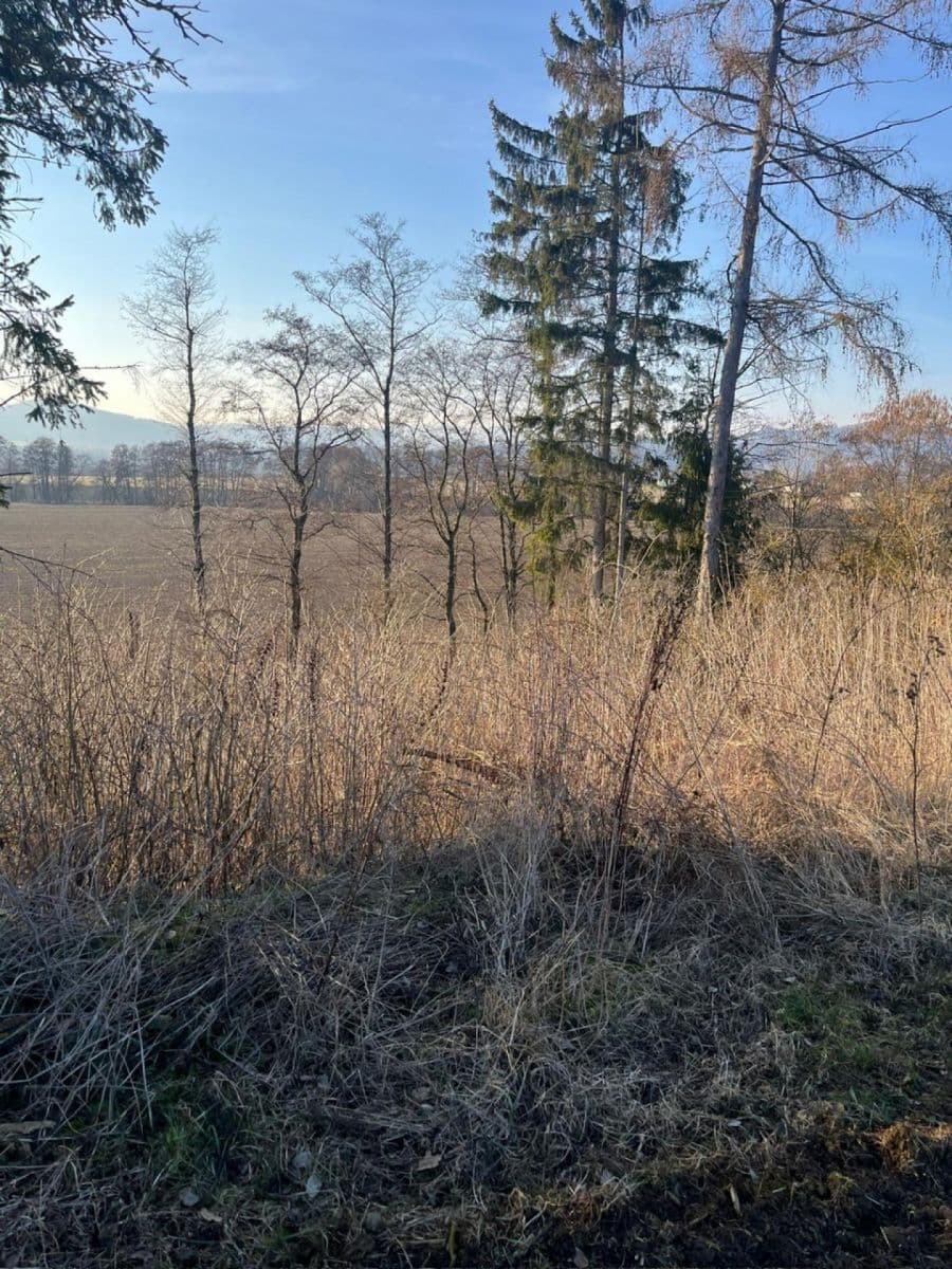 plot for sale, 8,466 m², Nový Malín, Olomoucký Region plot for sale, 8,466 m², Nový Malín, Olomoucký Region