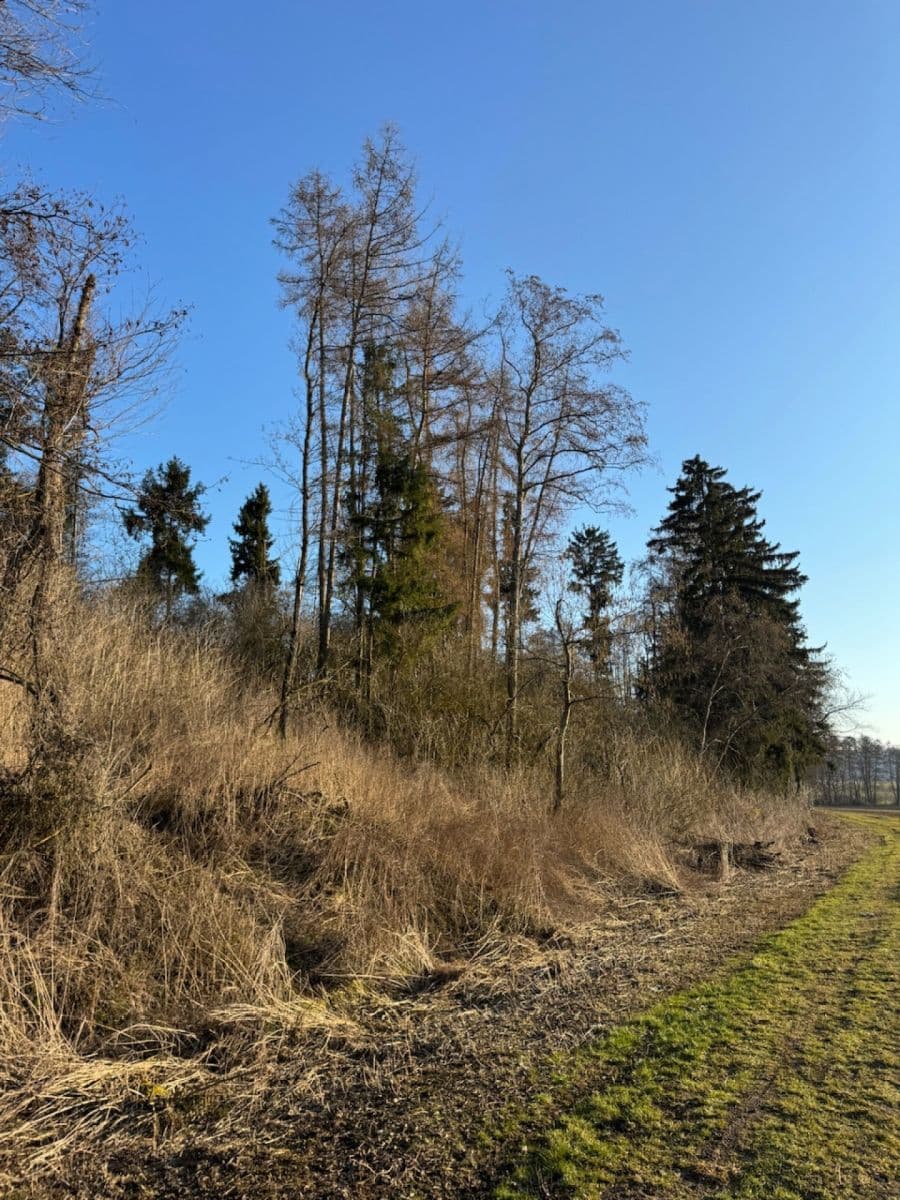 plot for sale, 8,466 m², Nový Malín, Olomoucký Region plot for sale, 8,466 m², Nový Malín, Olomoucký Region