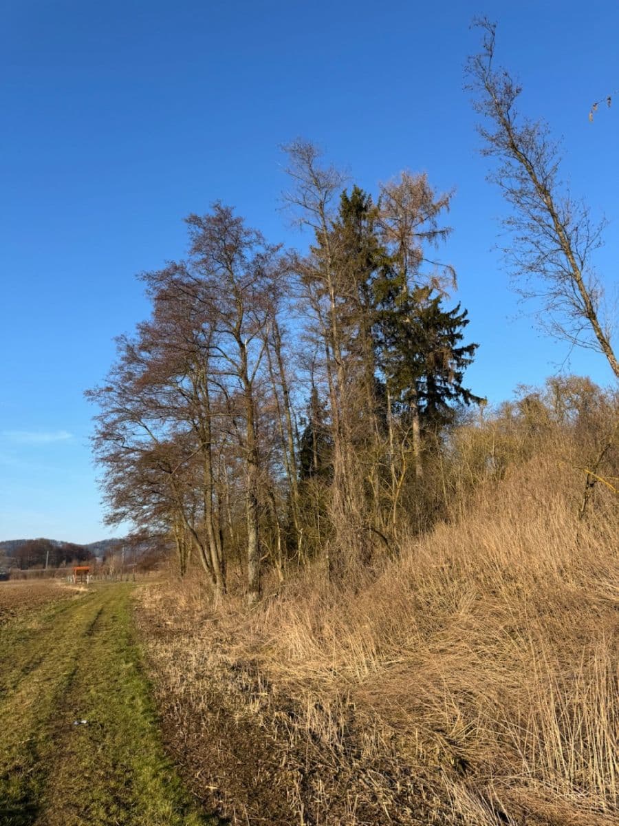 plot for sale, 8,466 m², Nový Malín, Olomoucký Region plot for sale, 8,466 m², Nový Malín, Olomoucký Region