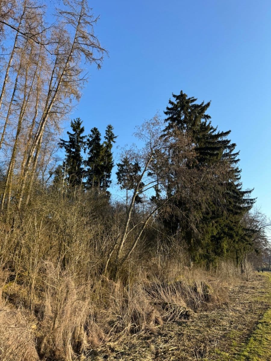 plot for sale, 8,466 m², Nový Malín, Olomoucký Region plot for sale, 8,466 m², Nový Malín, Olomoucký Region