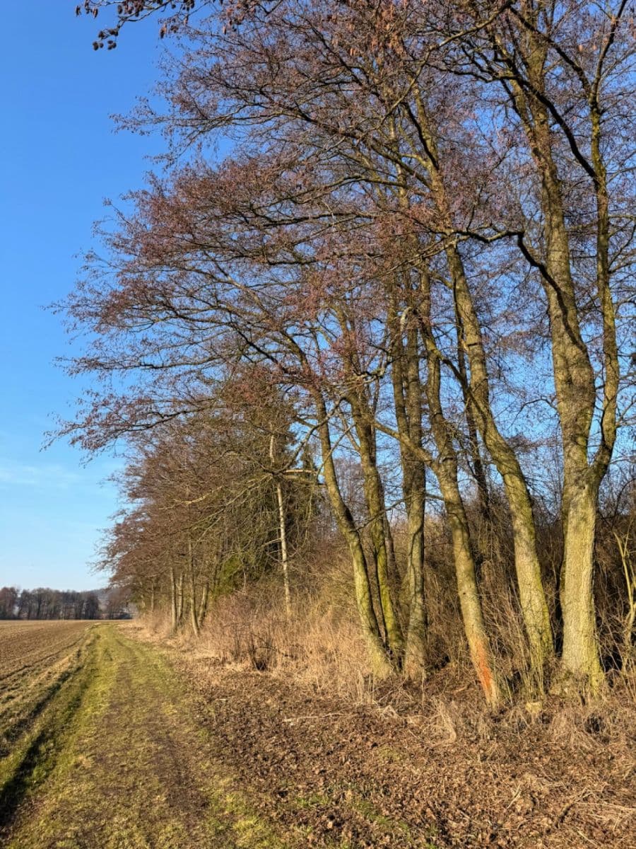 plot for sale, 8,466 m², Nový Malín, Olomoucký Region plot for sale, 8,466 m², Nový Malín, Olomoucký Region