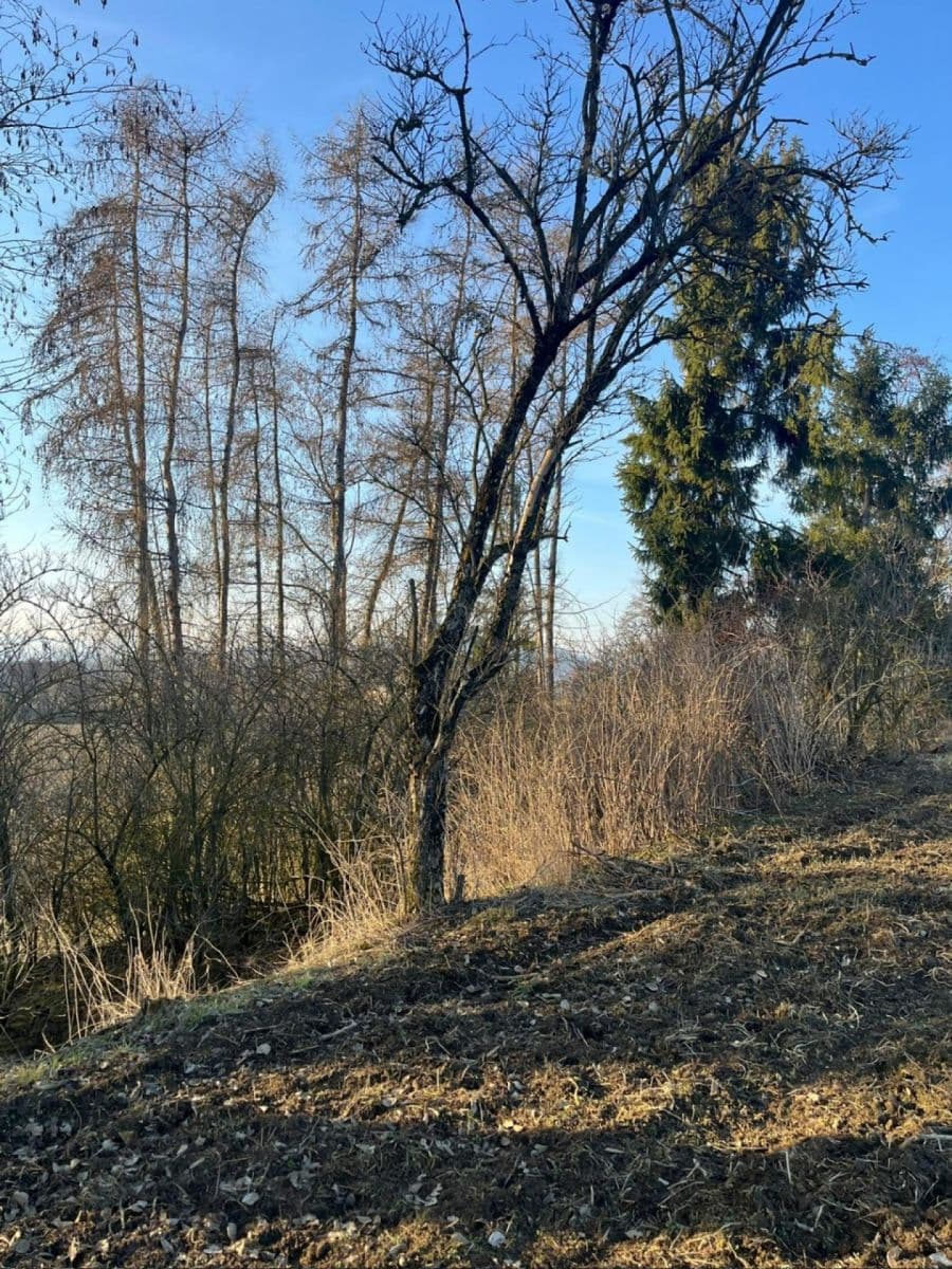 plot for sale, 8,466 m², Nový Malín, Olomoucký Region plot for sale, 8,466 m², Nový Malín, Olomoucký Region