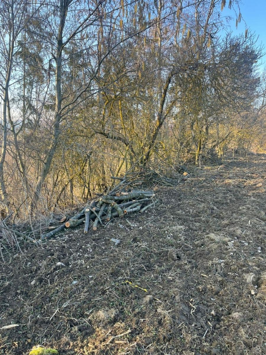 plot for sale, 8,466 m², Nový Malín, Olomoucký Region plot for sale, 8,466 m², Nový Malín, Olomoucký Region