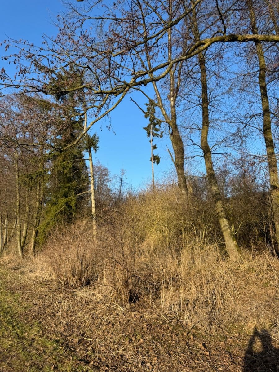 plot for sale, 8,466 m², Nový Malín, Olomoucký Region plot for sale, 8,466 m², Nový Malín, Olomoucký Region