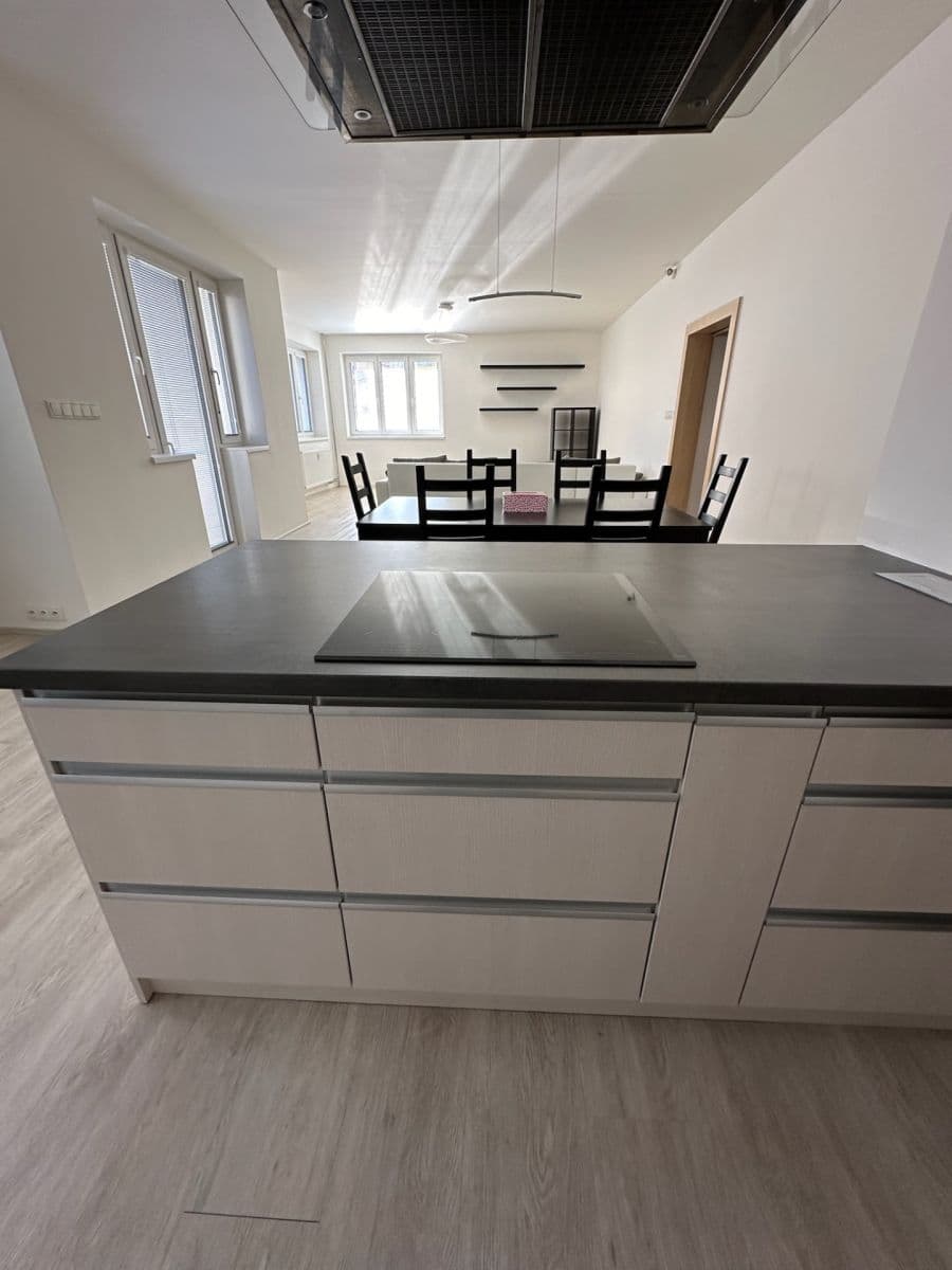 2 bedroom with open-plan kitchen flat to rent, 130 m², Na Nivách, Prague, Prague 2 bedroom with open-plan kitchen flat to rent, 130 m², Na Nivách, Prague, Prague