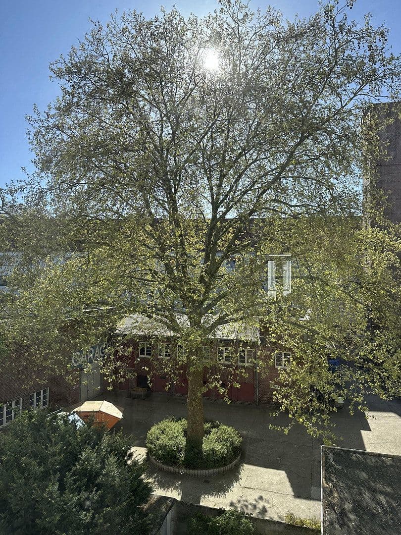 4 bedroom flat to rent, 87 m², Immengarten 13, Hanover, Lower Saxony 4 bedroom flat to rent, 87 m², Immengarten 13, Hanover, Lower Saxony
