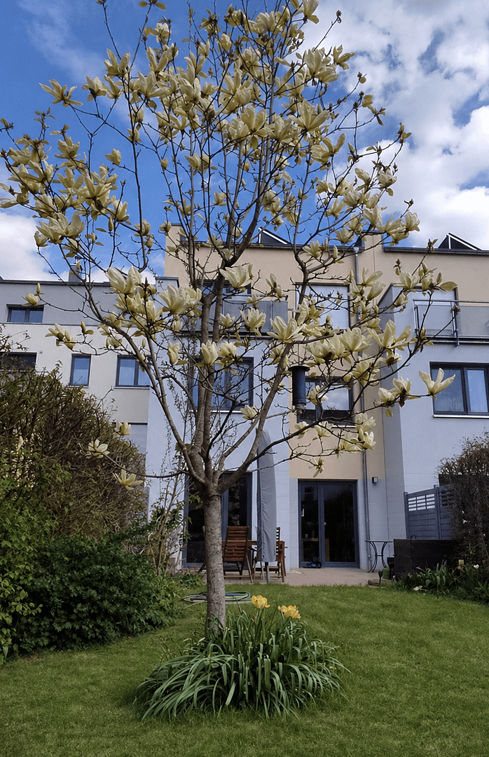 house for sale, 138 m², Leipzig, Saxony house for sale, 138 m², Leipzig, Saxony
