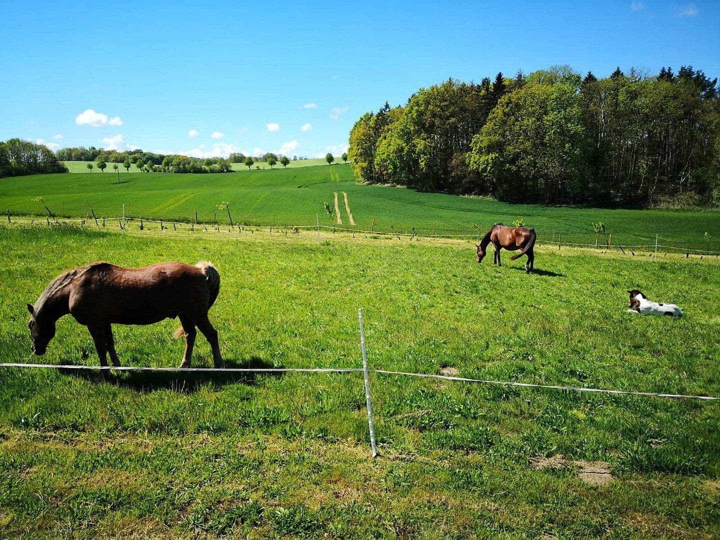plot for sale, 2,000 m², Alter Kastanienweg 8, Satow, Mecklenburg-Vorpommern plot for sale, 2,000 m², Alter Kastanienweg 8, Satow, Mecklenburg-Vorpommern