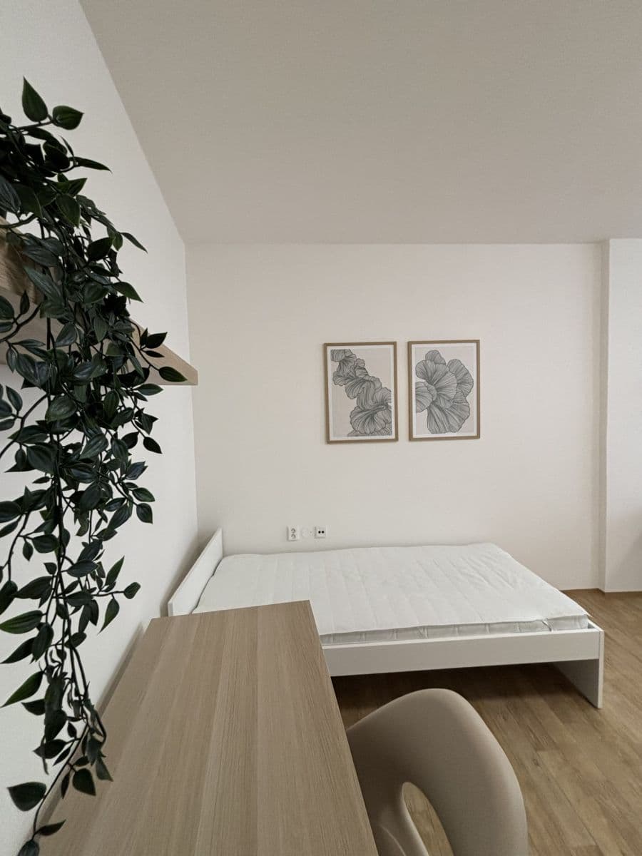 2 bedroom flat to rent, 65 m², Rumiště, Brno, Jihomoravský Region 2 bedroom flat to rent, 65 m², Rumiště, Brno, Jihomoravský Region