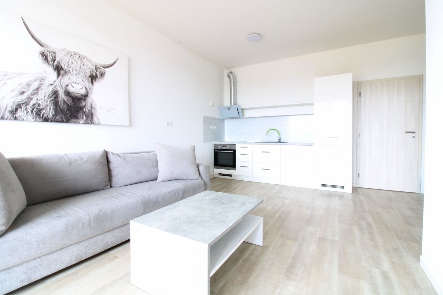 1 bedroom with open-plan kitchen flat to rent, 49 m², Plovární, Plzeň, Plzeňský Region 1 bedroom with open-plan kitchen flat to rent, 49 m², Plovární, Plzeň, Plzeňský Region