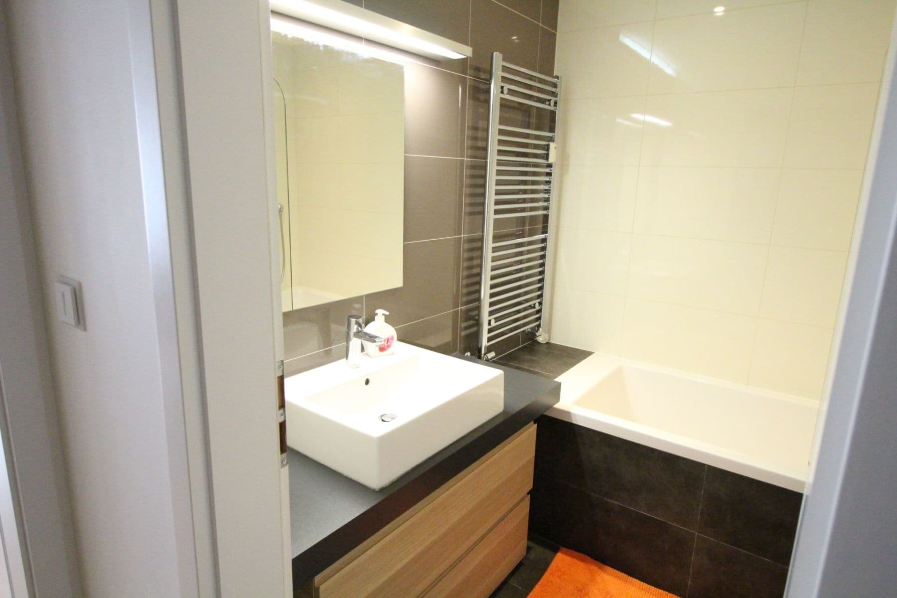 1 bedroom with open-plan kitchen flat to rent, 45 m², U libeňského pivovaru, Prague, Prague 1 bedroom with open-plan kitchen flat to rent, 45 m², U libeňského pivovaru, Prague, Prague