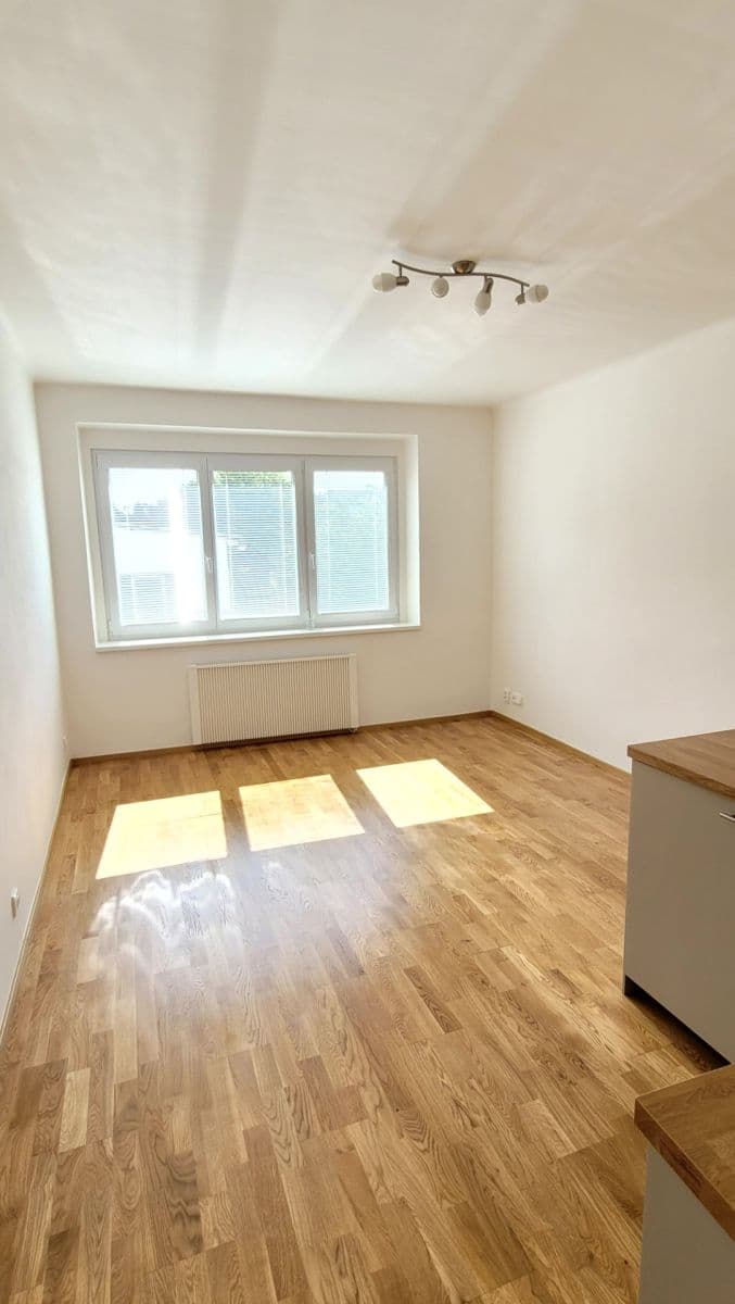 Studio flat to rent, 30 m², Na Pasece, Prague, Prague Studio flat to rent, 30 m², Na Pasece, Prague, Prague