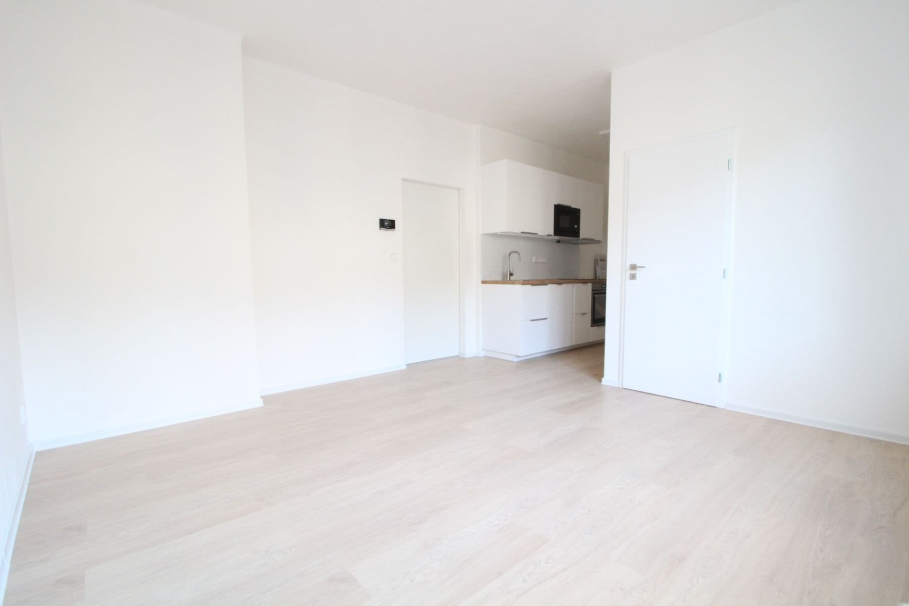 1 bedroom with open-plan kitchen flat to rent, 40 m², Koulova, Prague, Prague 1 bedroom with open-plan kitchen flat to rent, 40 m², Koulova, Prague, Prague