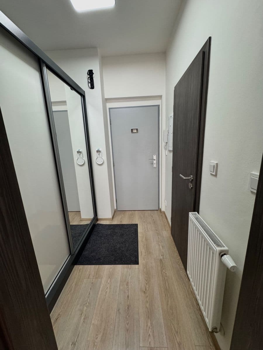 Studio flat to rent, 42 m², Hřbitovní, Plzeň, Plzeňský Region Studio flat to rent, 42 m², Hřbitovní, Plzeň, Plzeňský Region