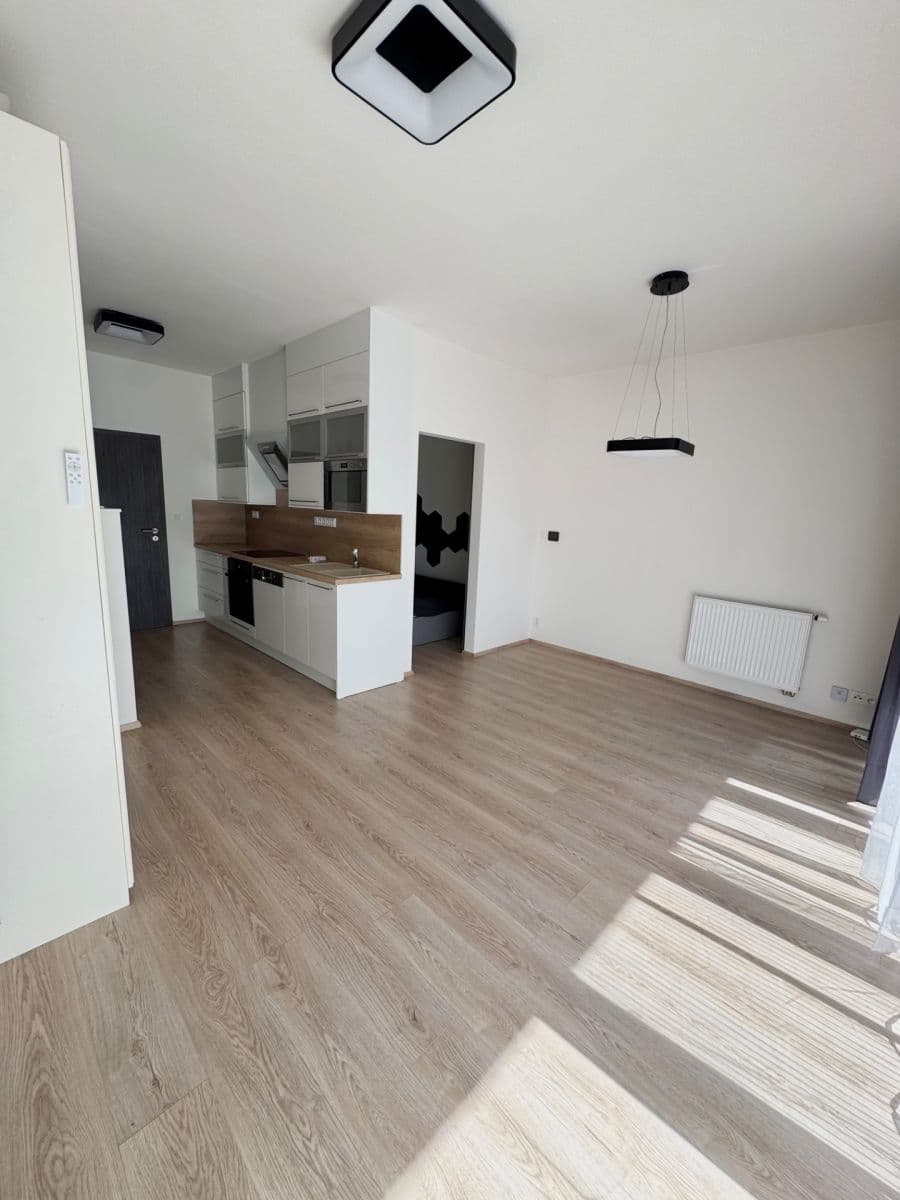 Studio flat to rent, 42 m², Hřbitovní, Plzeň, Plzeňský Region Studio flat to rent, 42 m², Hřbitovní, Plzeň, Plzeňský Region