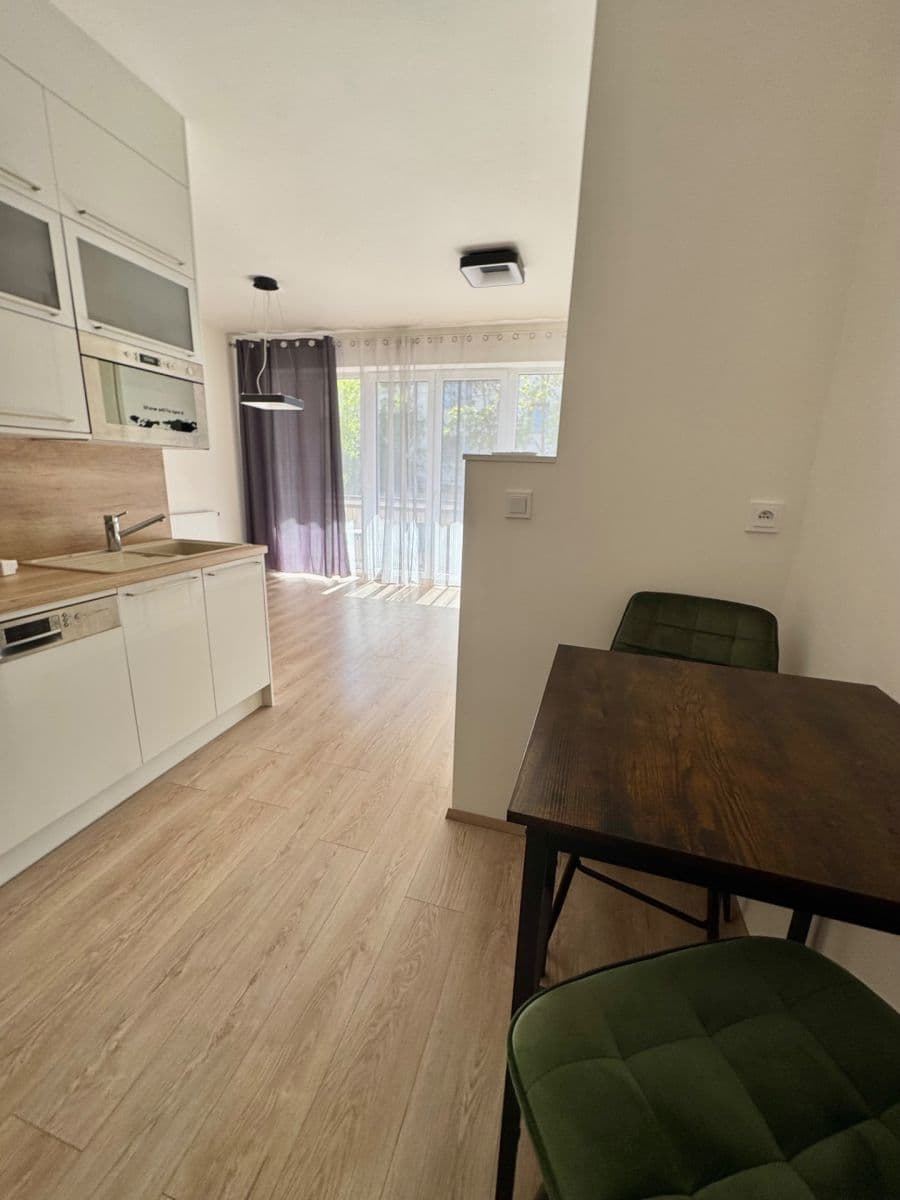 Studio flat to rent, 42 m², Hřbitovní, Plzeň, Plzeňský Region Studio flat to rent, 42 m², Hřbitovní, Plzeň, Plzeňský Region