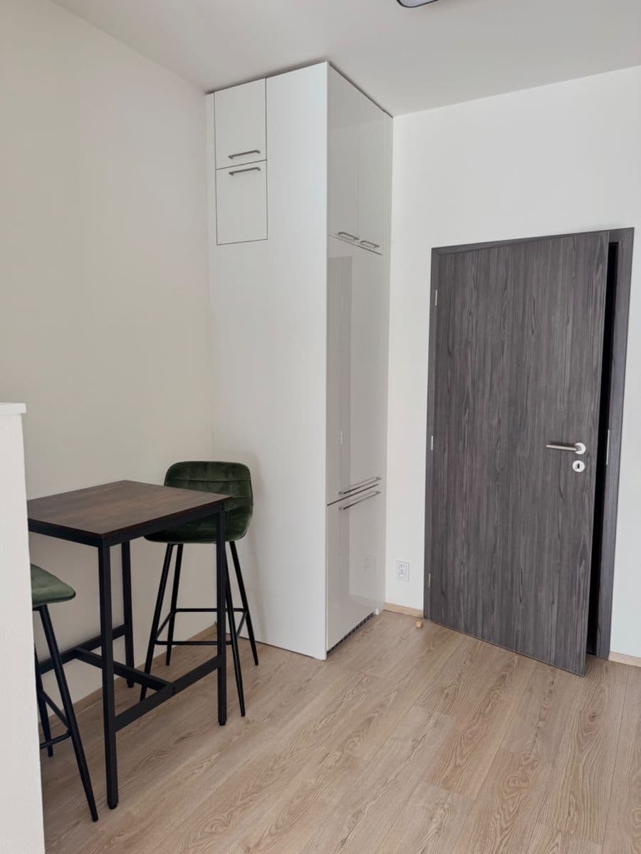 Studio flat to rent, 42 m², Hřbitovní, Plzeň, Plzeňský Region Studio flat to rent, 42 m², Hřbitovní, Plzeň, Plzeňský Region