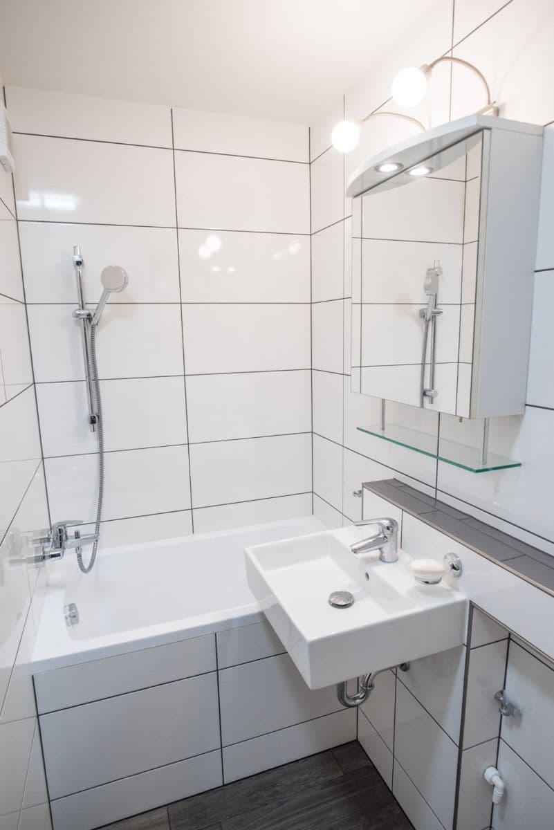 1 bedroom with open-plan kitchen flat to rent, 44 m², Uherská, Prague, Prague 1 bedroom with open-plan kitchen flat to rent, 44 m², Uherská, Prague, Prague