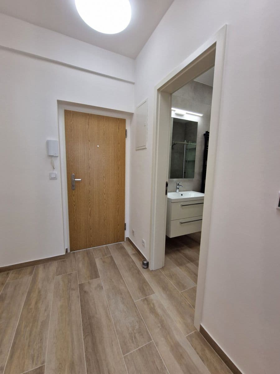 1 bedroom with open-plan kitchen flat to rent, 37 m², U Kříže, Prague, Prague 1 bedroom with open-plan kitchen flat to rent, 37 m², U Kříže, Prague, Prague