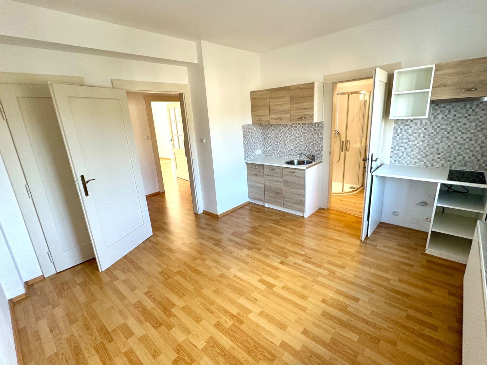 1 bedroom with open-plan kitchen flat to rent, 42 m², Na Zvoničce, Prague, Prague 1 bedroom with open-plan kitchen flat to rent, 42 m², Na Zvoničce, Prague, Prague