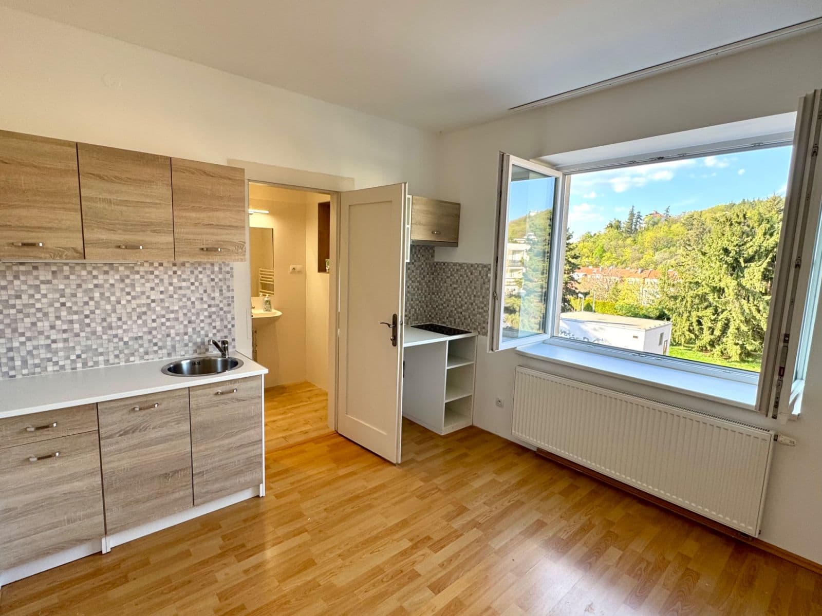 1 bedroom with open-plan kitchen flat to rent, 42 m², Na Zvoničce, Prague, Prague 1 bedroom with open-plan kitchen flat to rent, 42 m², Na Zvoničce, Prague, Prague