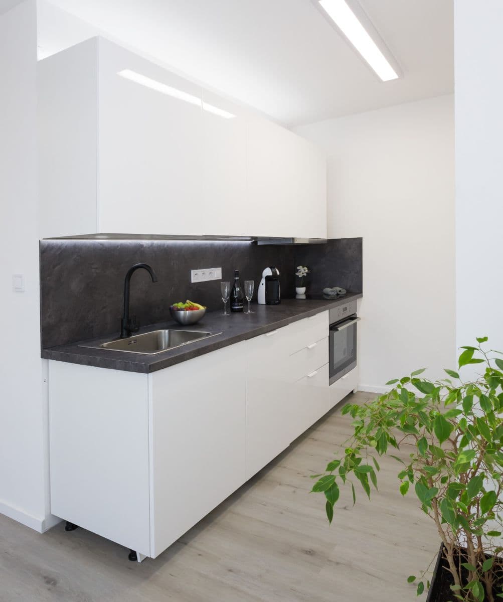 1 bedroom with open-plan kitchen flat to rent, 47 m², Podjavorinské, Prague, Prague 1 bedroom with open-plan kitchen flat to rent, 47 m², Podjavorinské, Prague, Prague